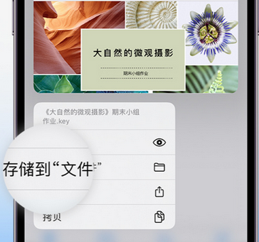 申扎apple维修中心分享iPhone文件应用中存储和找到下载文件