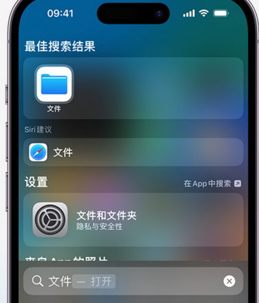 申扎apple维修中心分享iPhone文件应用中存储和找到下载文件