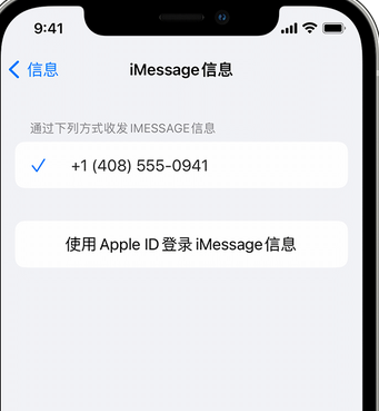 申扎apple维修iPhone上无法正常发送iMessage信息 