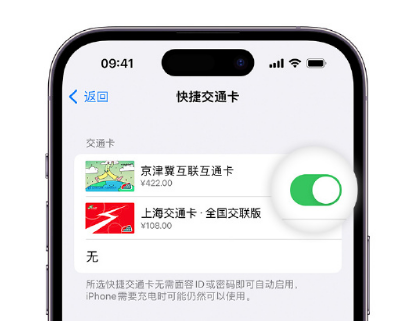 申扎apple维修点分享iPhone上更换Apple Pay快捷交通卡手绘卡面 