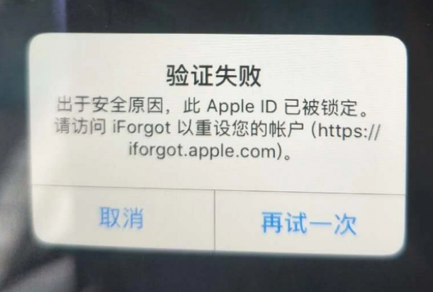 申扎iPhone维修分享iPhone上正常登录或使用AppleID怎么办 