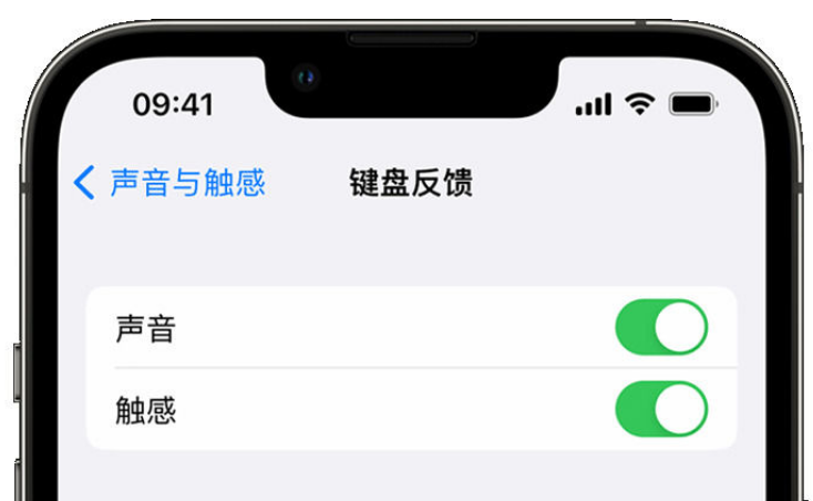 申扎苹果手机维修分享iPhone 14触感键盘使用方法 