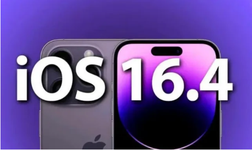 申扎苹果14维修分享：iPhone14可以升级iOS16.4beta2吗？ 