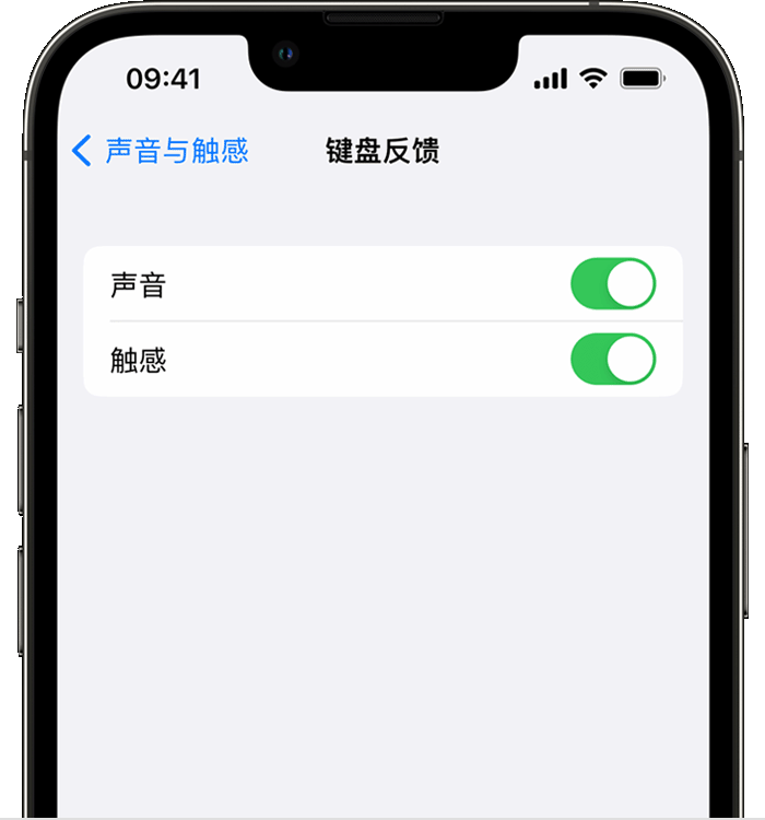 申扎苹果14维修店分享如何在 iPhone 14 机型中使用触感键盘 