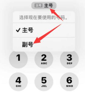 申扎苹果14维修店分享iPhone 14 Pro Max使用副卡打电话的方法 