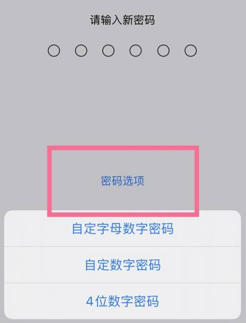 申扎苹果14维修分享iPhone 14plus设置密码的方法 