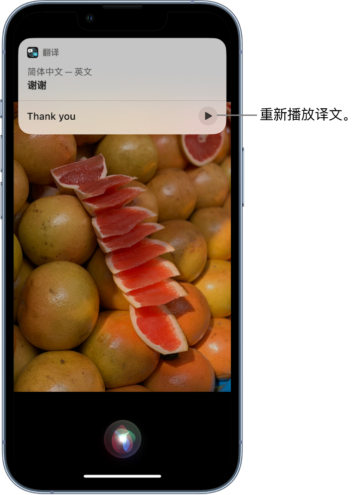 申扎苹果14维修分享 iPhone 14 机型中使用 Siri：了解 Siri 能帮你做什么 