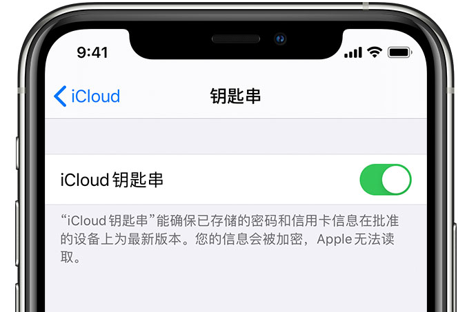 申扎苹果手机维修分享在 iPhone 上开启 iCloud 钥匙串之后会储存哪些信息 