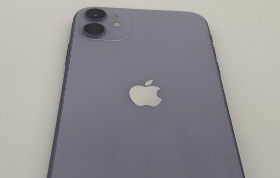 申扎苹果11系统维修分享iPhone11手机系统崩溃无法开机如何解决 